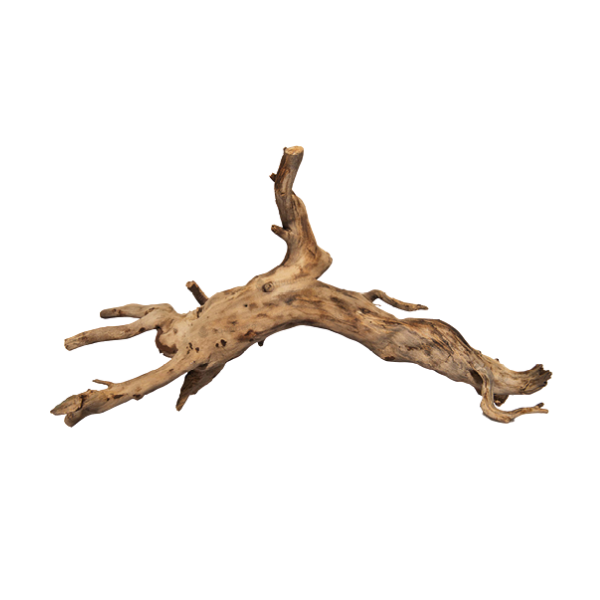 Acquadeco Legno decorativo per acquari e terrari - talawa wood l - 1° ORDINE? scegli lo sconto BZR5 / BZR20 + 200 punti fedeltà