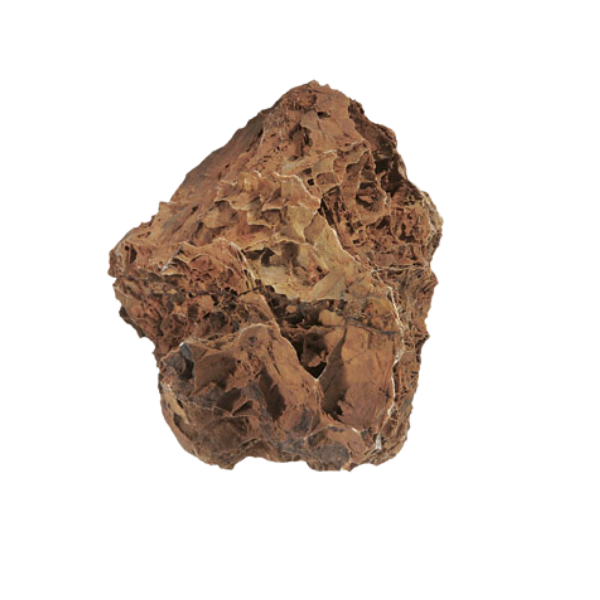 Aquadeco Roccia Naturale decorativa per Acquari e Terrari - maple leaf rock s - 1° ORDINE? scegli lo sconto BZR5 / BZR20 + 200 punti fedeltà