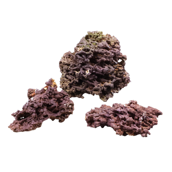 Aquadeco Roccia Naturale decorativa per Acquari e Terrari - jurassic reef rock s - 1° ORDINE? scegli lo sconto BZR5 / BZR20 + 200 punti fedeltà