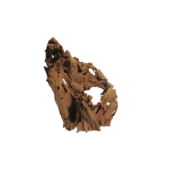 Acquadeco Legno decorativo per acquari e terrari - mangrove l - 1° ORDINE? scegli lo sconto BZR5 / BZR20 + 200 punti fedeltà