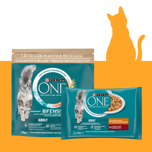 Purina One Cat Adult Mix Feeding Bundle