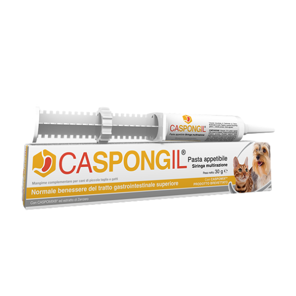Shedir Pharma Caspongil Pasta Gastrointestinale Appetibile - Siringa multirazione - 1° ORDINE? scegli lo sconto BZR5 / BZR20 + 200 punti fedeltà - Integratori per cani