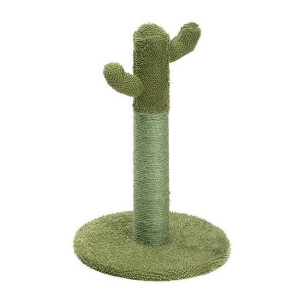 Image of Tiragraffi Cactus Imac: 1 Tiragraffi