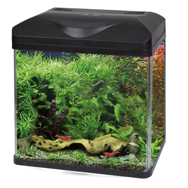 Immagine di Acquario d'acqua dolce Laguna Led Amtra - 30