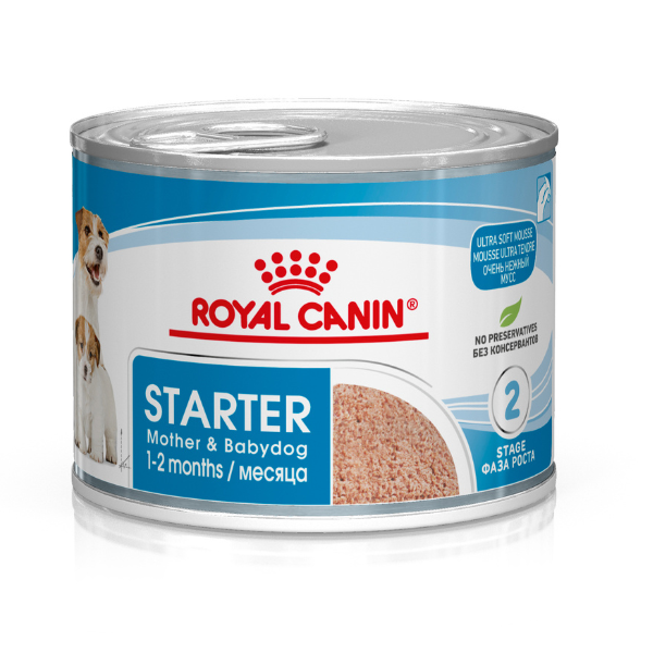 Royal Canin Starter Mousse Mother & Babydog - 195 gr Confezione da 6 pezzi
