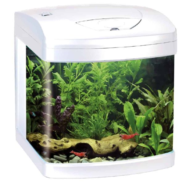 Image of Acquario Xcube 26 Led Amtra - Bianco