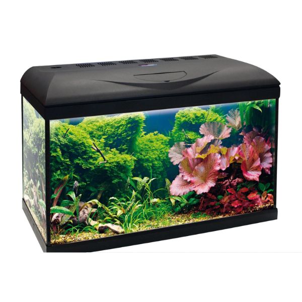 Image of Acquario Basic Led Amtra - 60 - 1° ORDINE? scegli lo sconto BZR5 / BZR20 + 200 punti fedeltà010