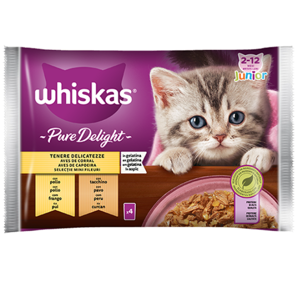Whiskas Pure Delight Junior ricette in gelatina Multipack 4 pezzi da 85 gr - Tenere Delicatezze - 1° ORDINE? scegli lo sconto BZR5 / BZR20 + 200 punti fedeltà