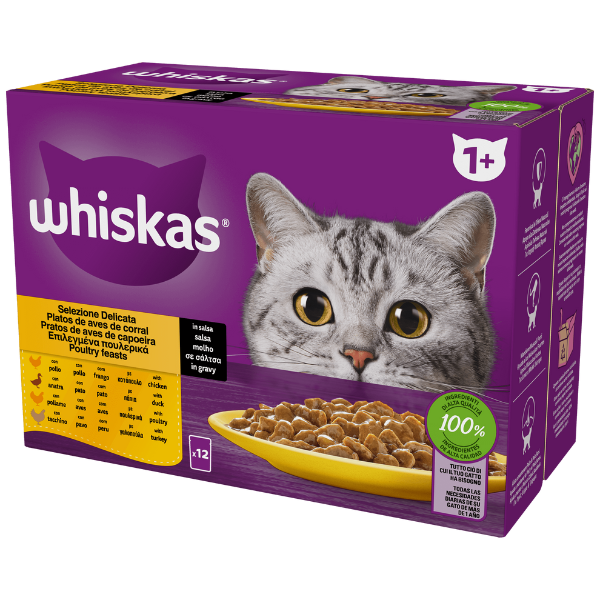 Whiskas ricette in salsa Multipack 4 pezzi da 85 gr - Selezione Delicata - 1° ORDINE? scegli lo sconto BZR5 / BZR20 + 200 punti fedeltà