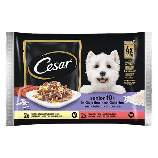 Cesar Senior 10+ in gelatina Multipack 4x100 gr - 2x Manzo - 2x Pollo - 1° ORDINE? scegli lo sconto BZR5 / BZR20 + 200 punti fedeltà