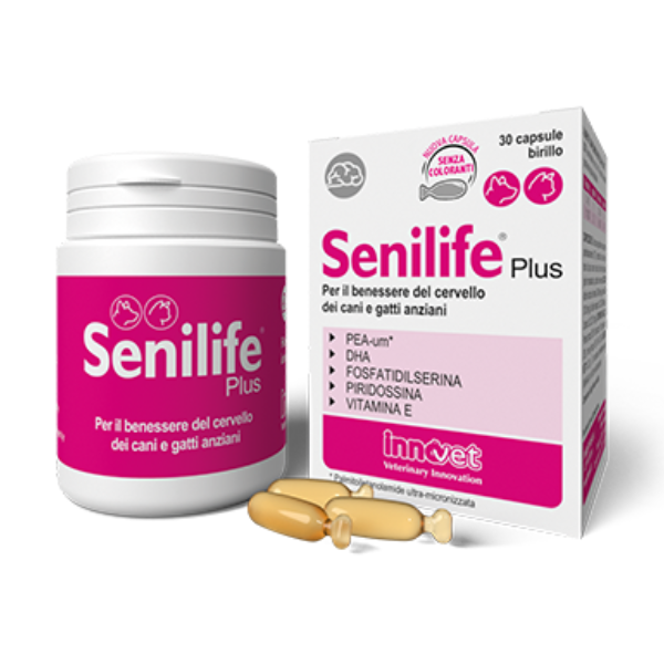 Innovet Senilife Plus supporto celebrale per cani e gatti Senior - 60 compresse - SPEDIZIONE GRATIS 1° ORDINE + scegli lo sconto BZR5 / BZR20
