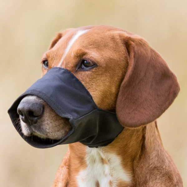 Museruola per cani regolabile in poliestere Trixie - l-xl - SPEDIZIONE GRATIS 1° ORDINE + scegli lo sconto BZR5 / BZR20