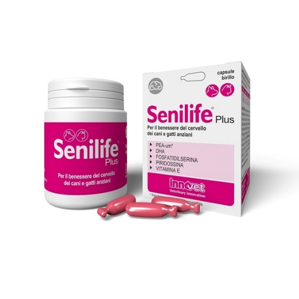 Image of Innovet Senilife Plus 30 capsule - 30 cps birillo