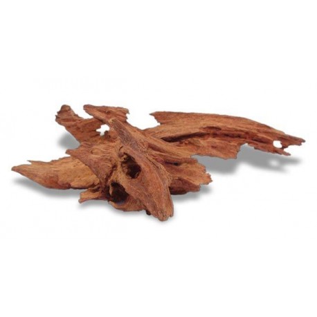 Legno decorativo per acquario Amtra - 25-35 cm - Jati - 1° ORDINE? scegli lo sconto BZR5 / BZR20 + 200 punti fedeltà