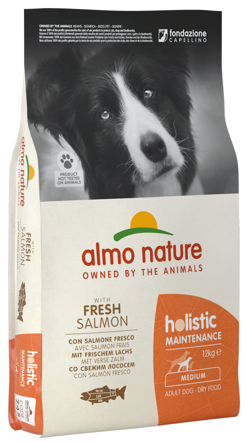 Image of Almo Nature Holistic Maintenance Fresh Large Adult con Salmone - 12 kg Croccantini per cani