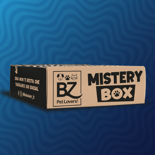 Bauzaar Mistery Box