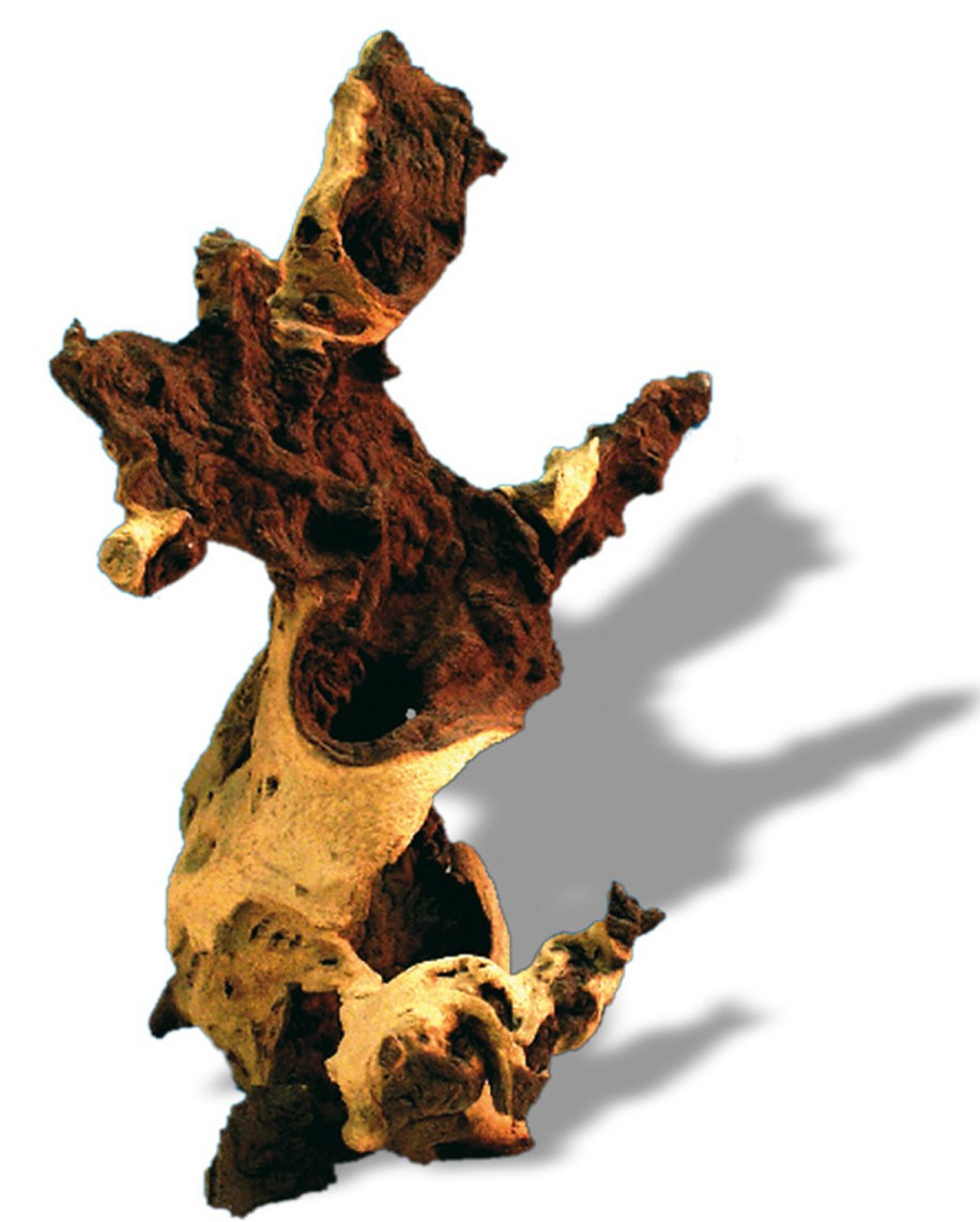 Image of Legno decorativo per acquario Amtra - 15-30 cm - Mopani