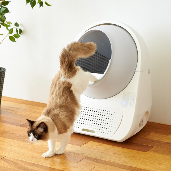 Lettiera autopulente per gatti Scooper Young CatLink (no Wi-fi) - 1 pezzo