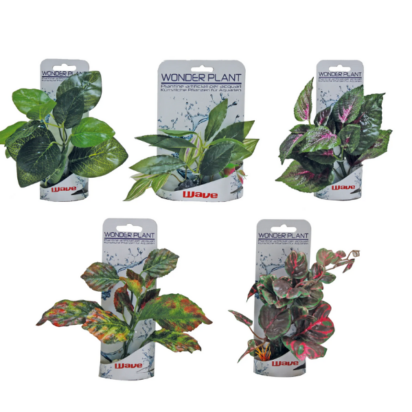 Piante finte decorative Wonder Amtra - 0,15-0,18 m - Plant serie B - 1° ORDINE? scegli lo sconto BZR5 / BZR20 + 200 punti fedeltà