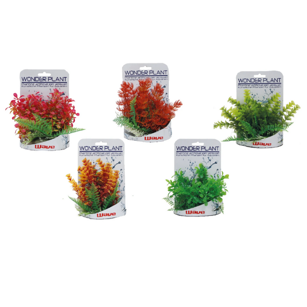 Piante finte decorative Wonder Amtra - 0,15-0,18 m - Plant serie C - 1° ORDINE? scegli lo sconto BZR5 / BZR20 + 200 punti fedeltà