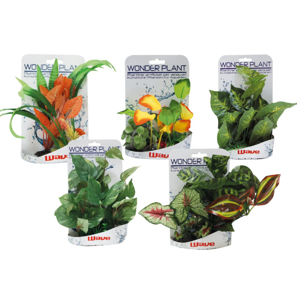 Piante finte decorative Wonder Amtra - 0,15-0,25 m - Plant serie E - 1° ORDINE? scegli lo sconto BZR5 / BZR20 + 200 punti fedeltà