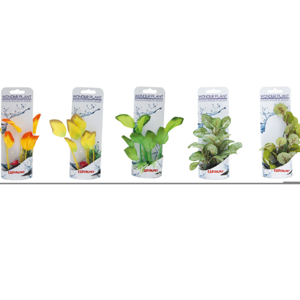Piante finte decorative Wonder Amtra - 0,12-0,13 m - Plant serie A - 1° ORDINE? scegli lo sconto BZR5 / BZR20 + 200 punti fedeltà