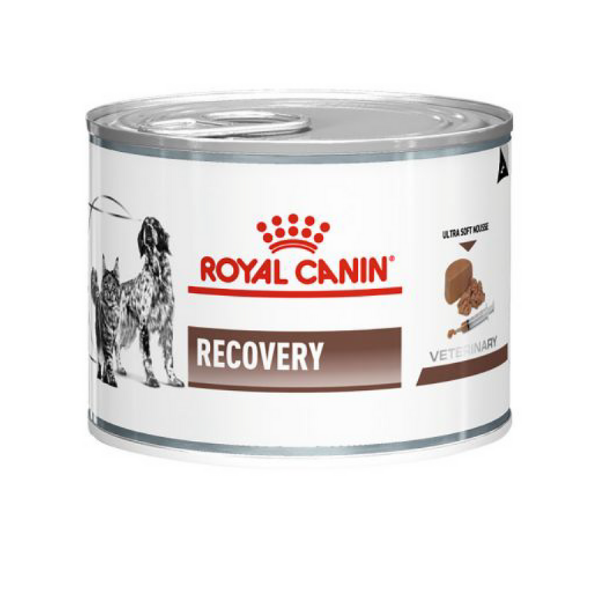 Image of Royal Canin Recovery Cats/Dogs - 195 gr Dieta Veterinaria per Gatti