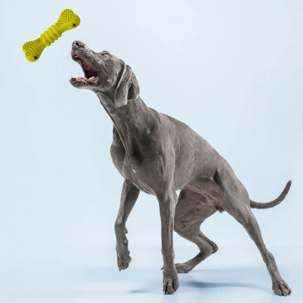 Gioco per cani in gomma naturale di cauciù Panton Croci colori assortiti - osso - 15 cm - Giochi per cani - 1° ORDINE? scegli lo sconto BZR5 / BZR20 + 200 punti fedeltà