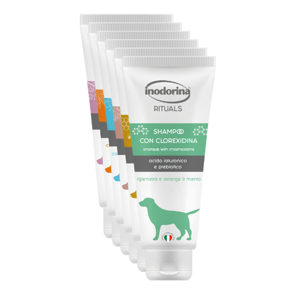 Inodorina Dog Shampooing shampoo per cani con filtro UV