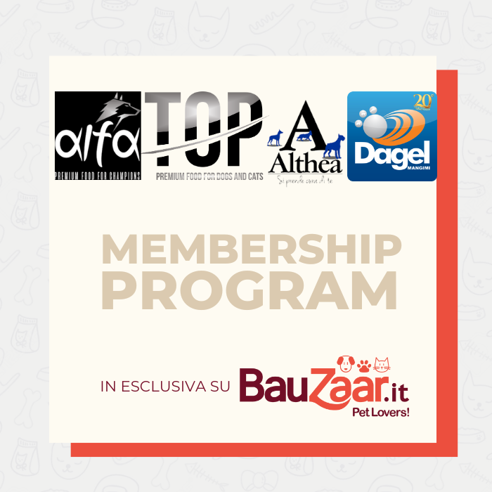 - Membership Program Dagel (12 coupon da 4€)
