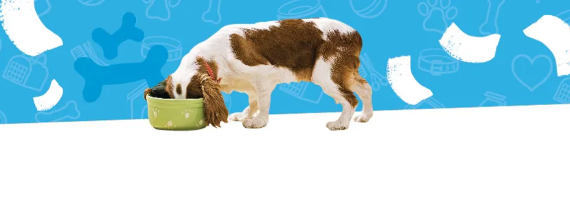 Cibo per cani Cibo per cani