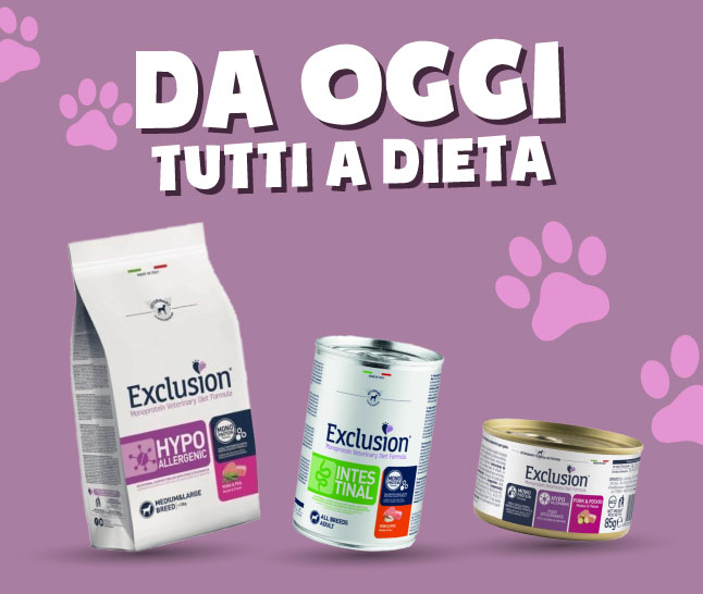 Exclusion Diet