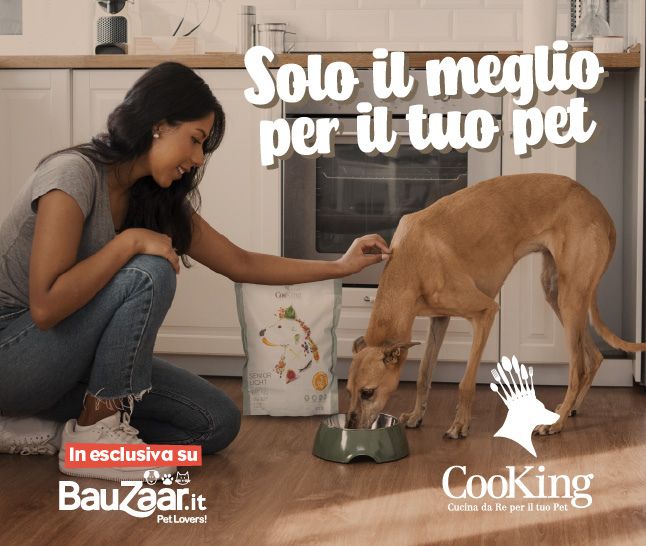 Un'ESCLUSIVA Bauzaar
