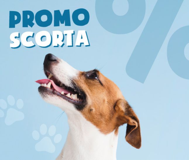 Martedì di risparmio!