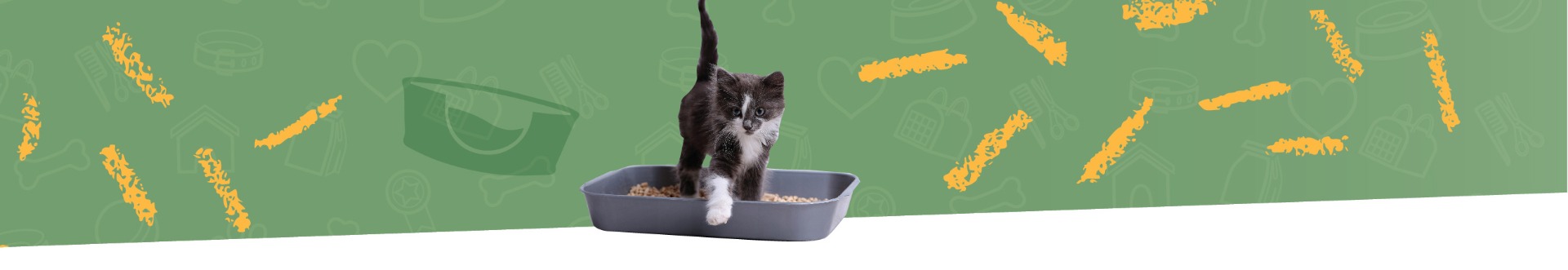 lettiere-per-gatti