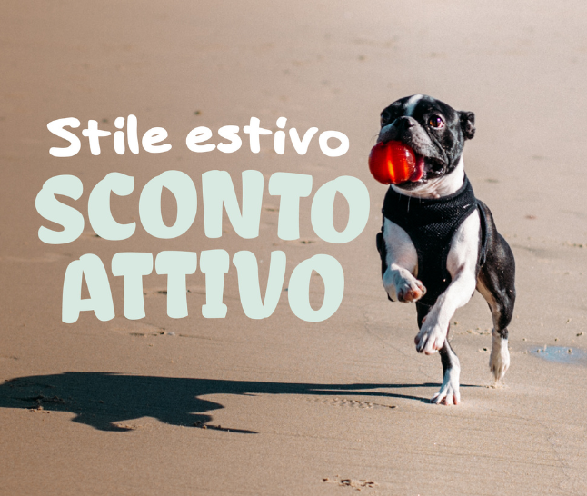 Extra -7% di sconto!