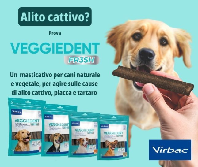 Denti puliti e alito fresco!