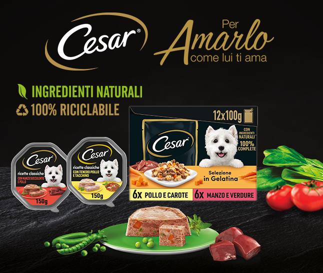 Cesar® in promo
