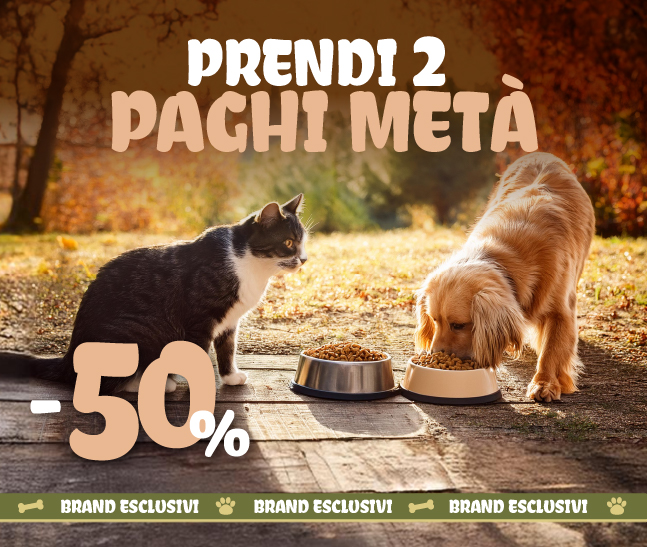 Esclusivi e in promo!