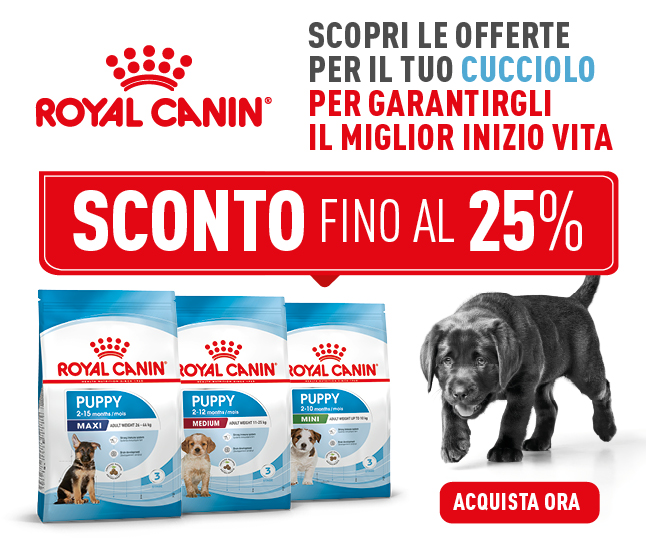 Royal Canin® in promo