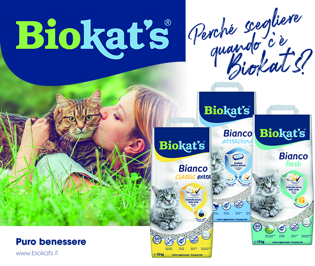 Biokat's in Promo!