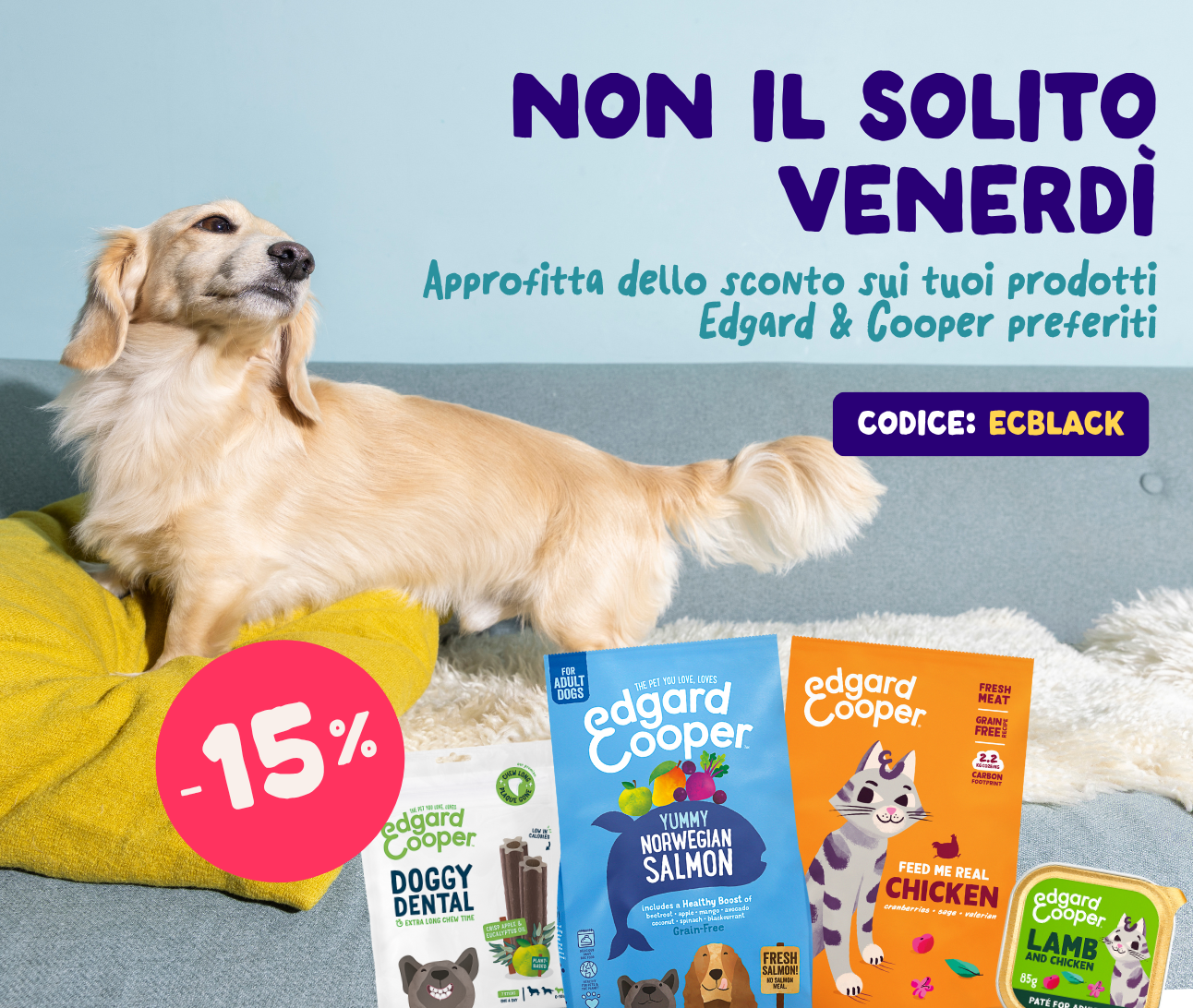 Extra -15% di sconto!