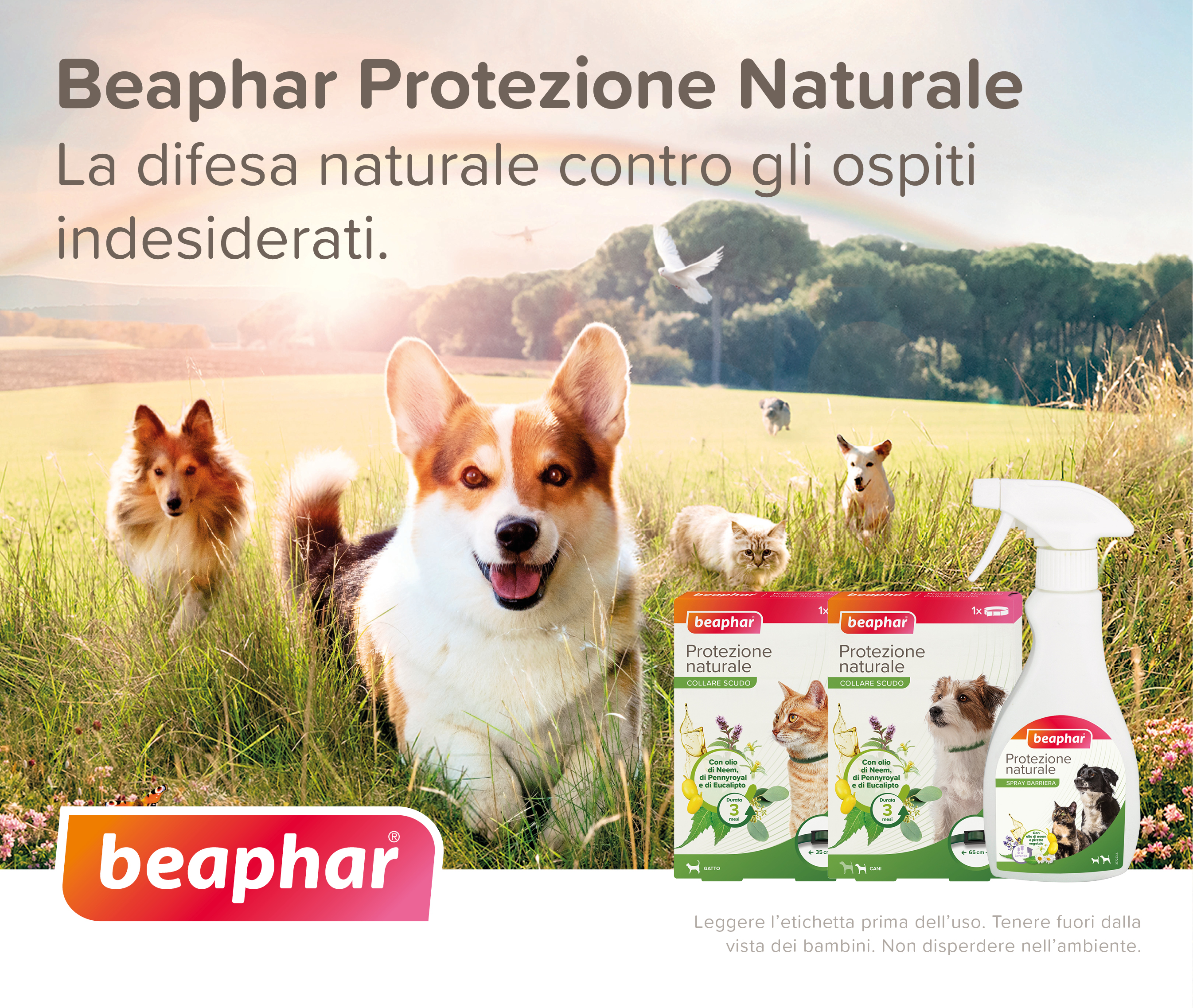 Proteggilo con Beaphar