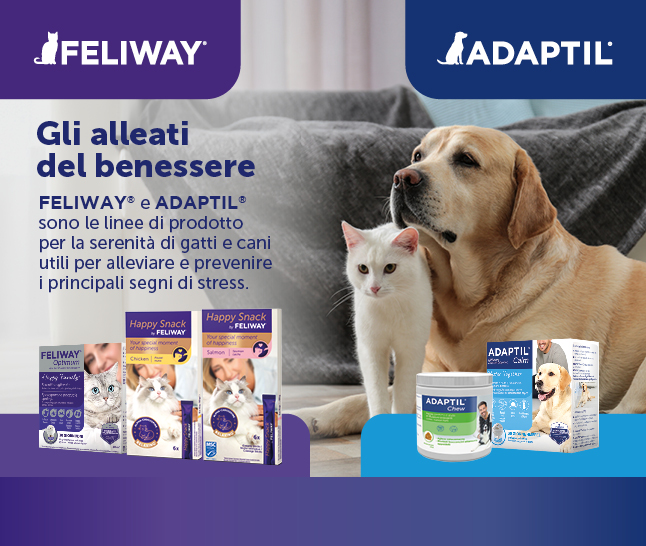 Benessere a 360°