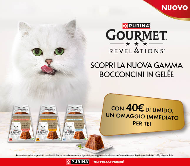 OMAGGIO Gourmet!