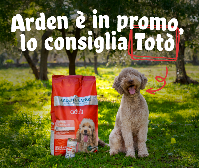 Promo Arden Grange!