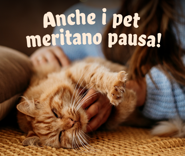 -7€ di sconto!