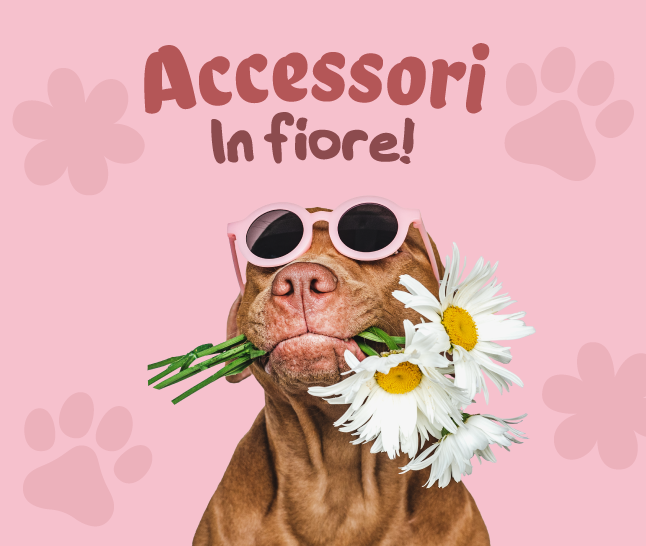 Extra -7% di sconto!
