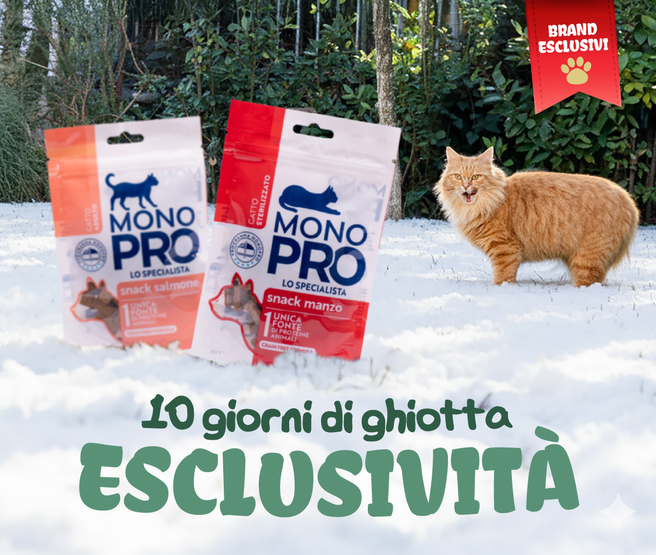 -7% di sconto!
