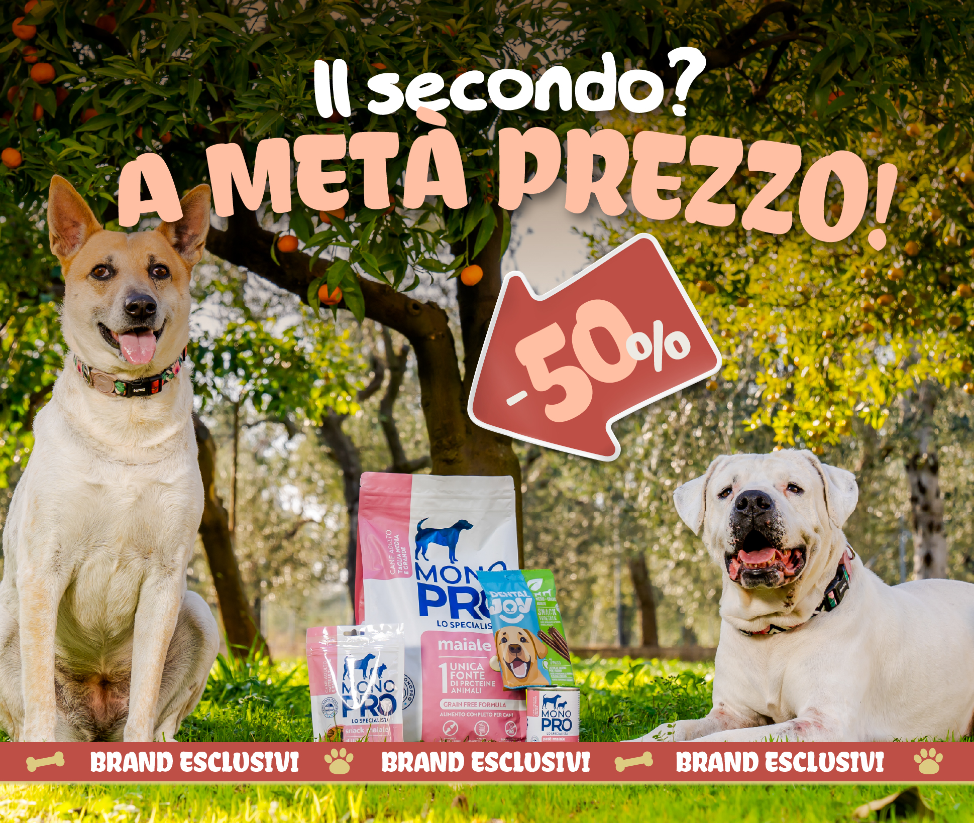 Esclusivi e in promo!